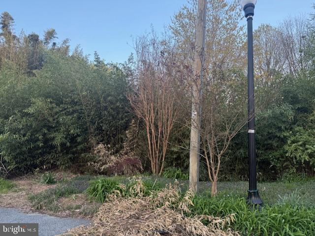 0 Hill Street Suffolk, VA 23434 - Photo 2 of 10 a view of backyard with green space