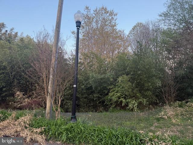 0 Hill Street Suffolk, VA 23434 - Photo 4 of 10 a view of a garden with trees