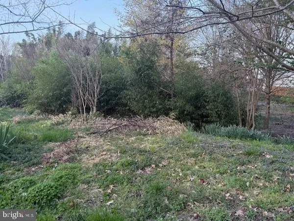 $18,000 | 0 Hill Street, Suffolk, VA 23434