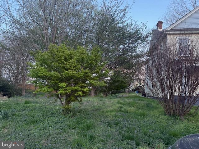 0 Hill Street Suffolk, VA 23434 - Photo 10 of 10 a view of a backyard
