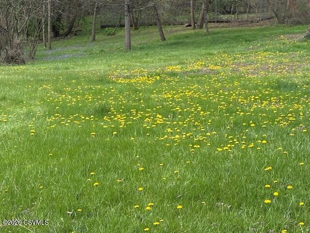County Line Road Winfield, PA 17889 - Photo 3 of 4