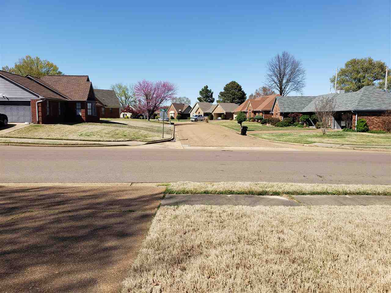 6825 Finch Road Memphis, TN 38141 - Photo 22 of 22