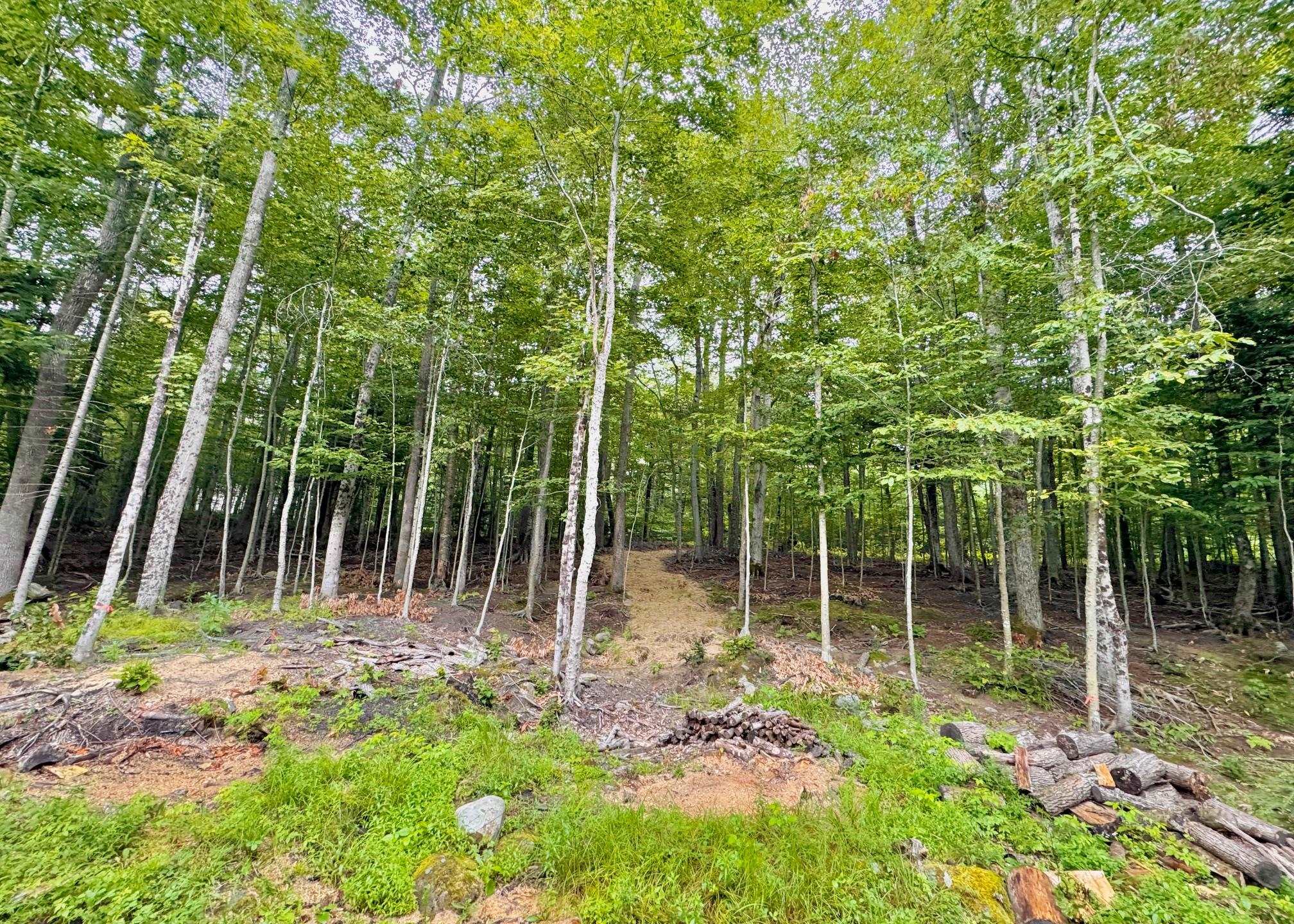 64 High Pond Road Grantham, NH 03753 - Photo 33 of 41