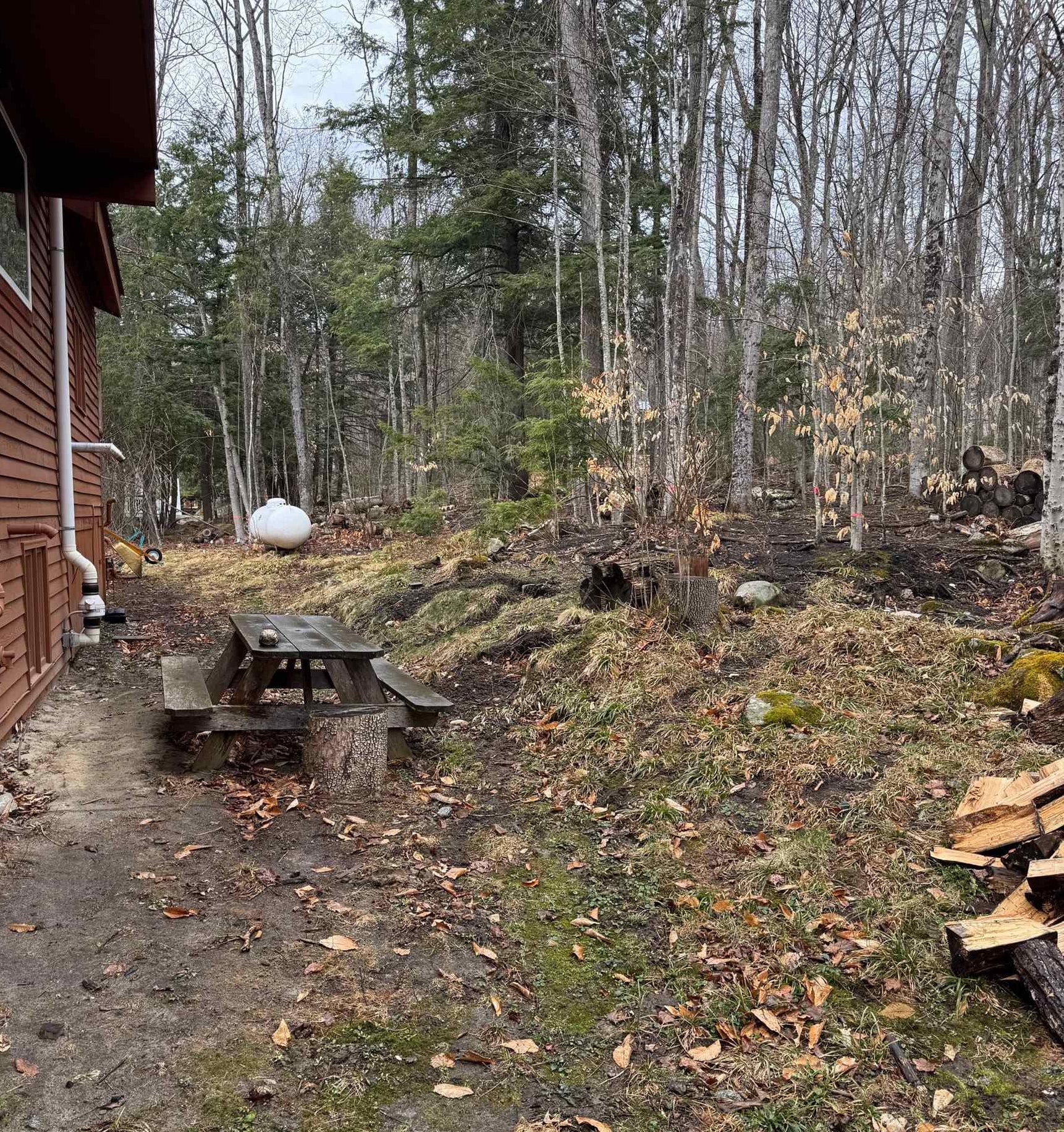 64 High Pond Road Grantham, NH 03753 - Photo 34 of 41