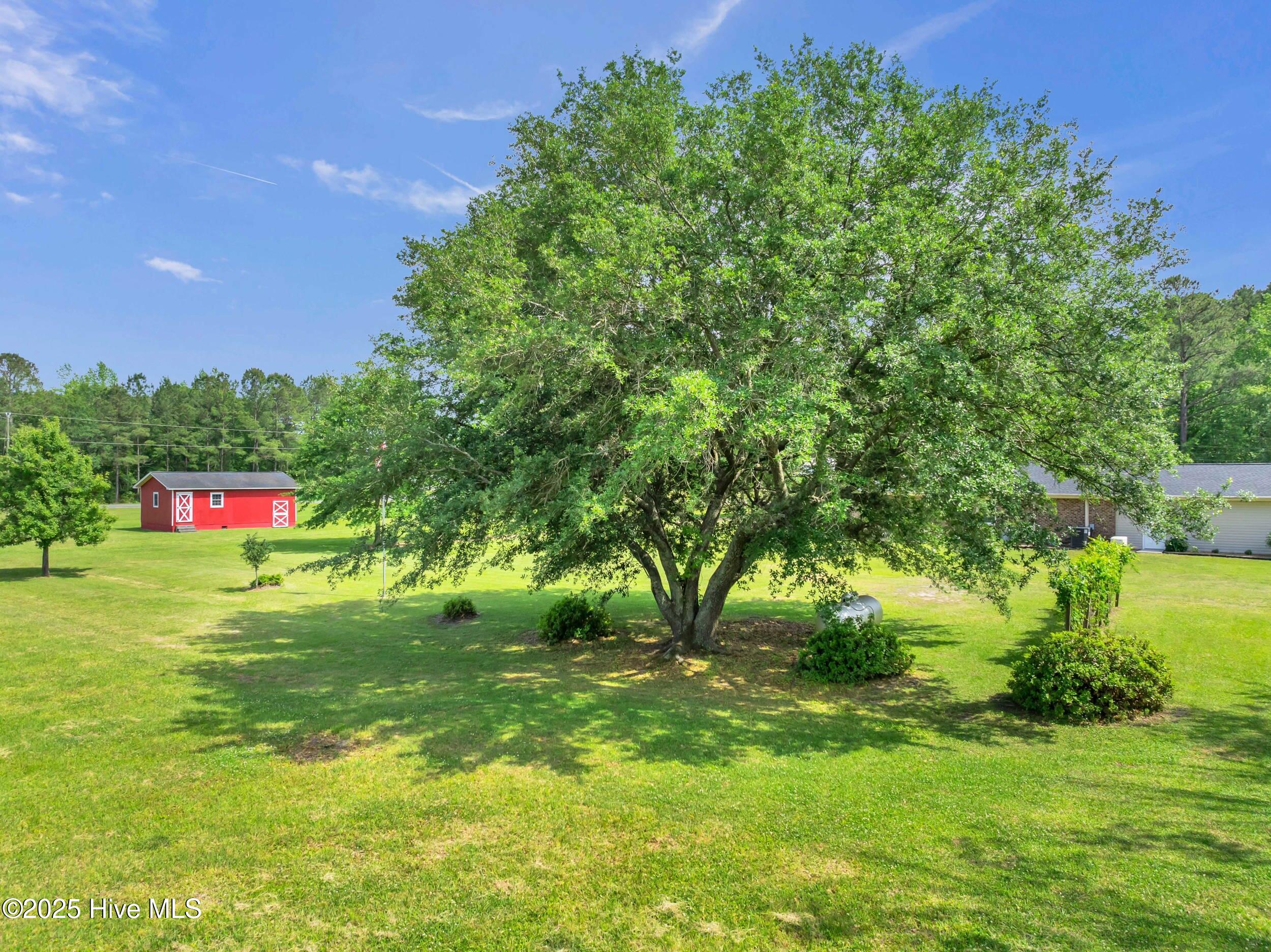 506 Dew Oil Plant Road Delco, NC 28436 - Photo 53 of 61 506dewoilplantrd00053