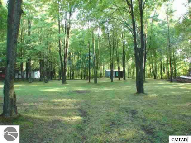 5033 Redstone Road St. Louis, MI 48880 - Photo 5 of 8 1764872-4.JPG