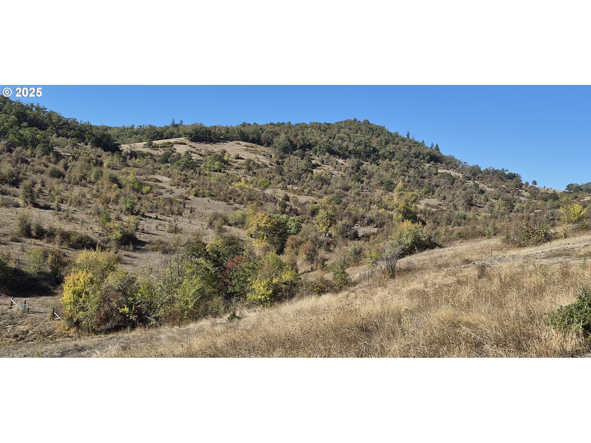 475 Ladybug Lane Roseburg, OR 97470 - Photo 6 of 12 a view of a sky