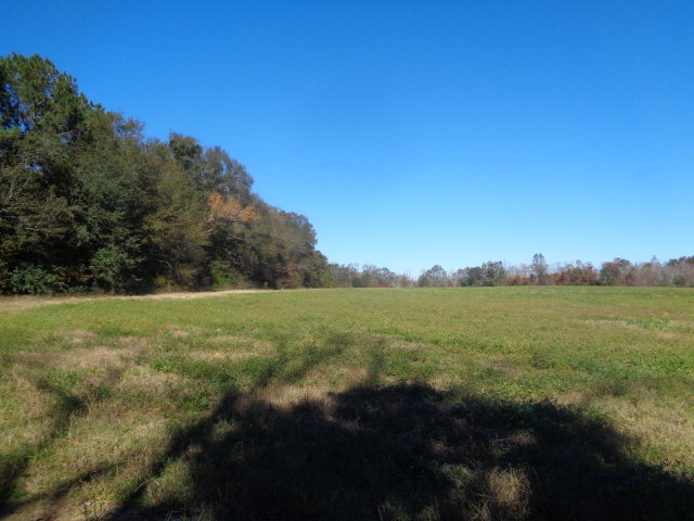 3.2 Eddins Road Dothan, AL 36301 - Photo 1 of 1