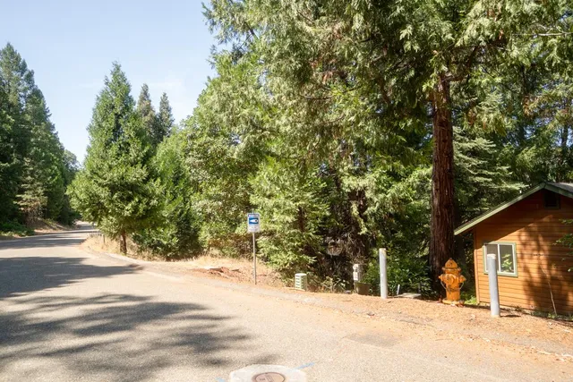 a view of road with trees