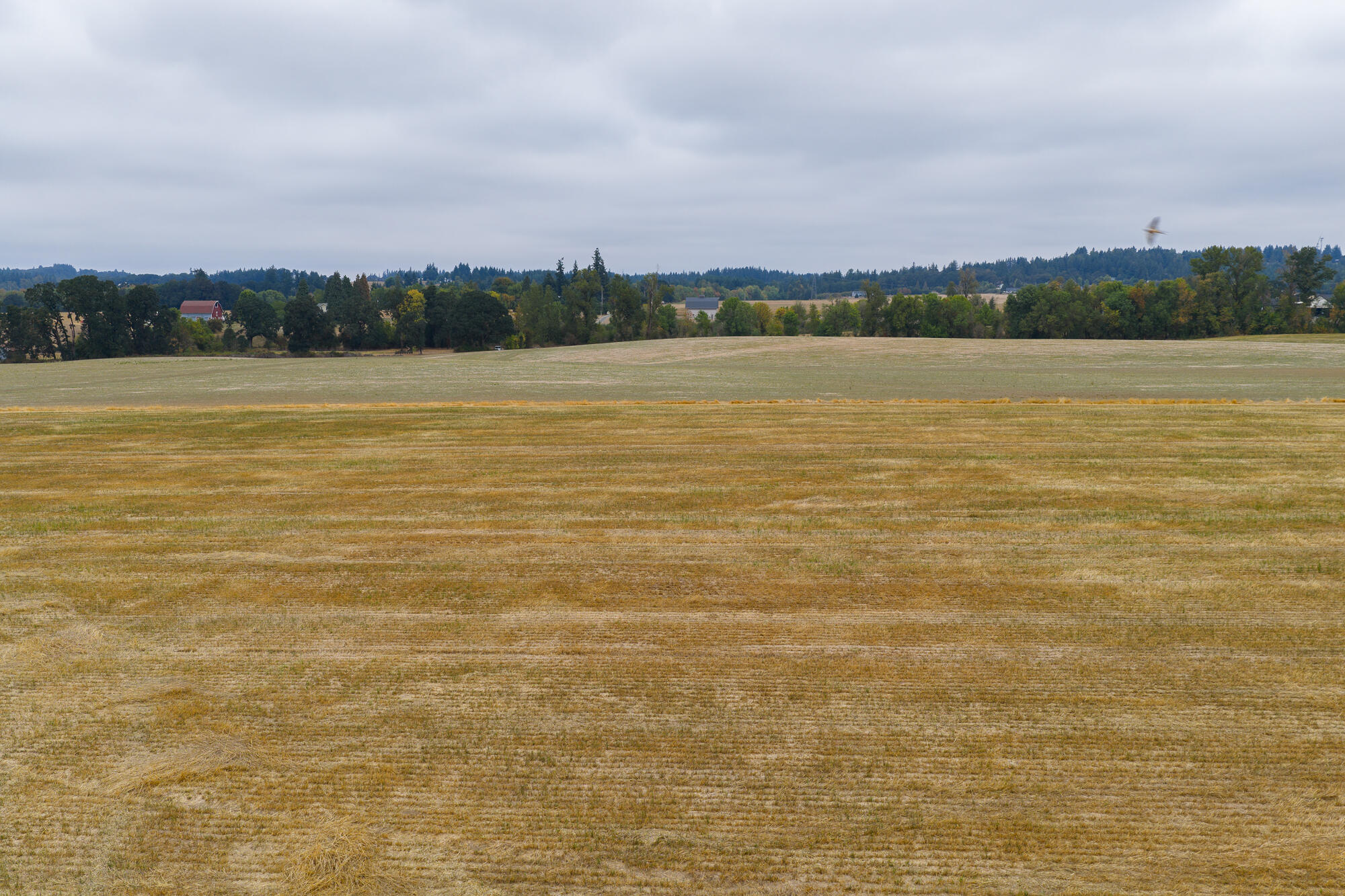 0 Oak Grove Albany, OR 97321 - Photo 15 of 35