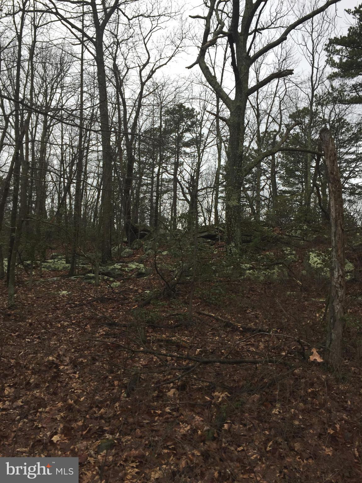 5 Detour Road Great Cacapon, WV 25422 - Photo 11 of 11 Exterior (General)