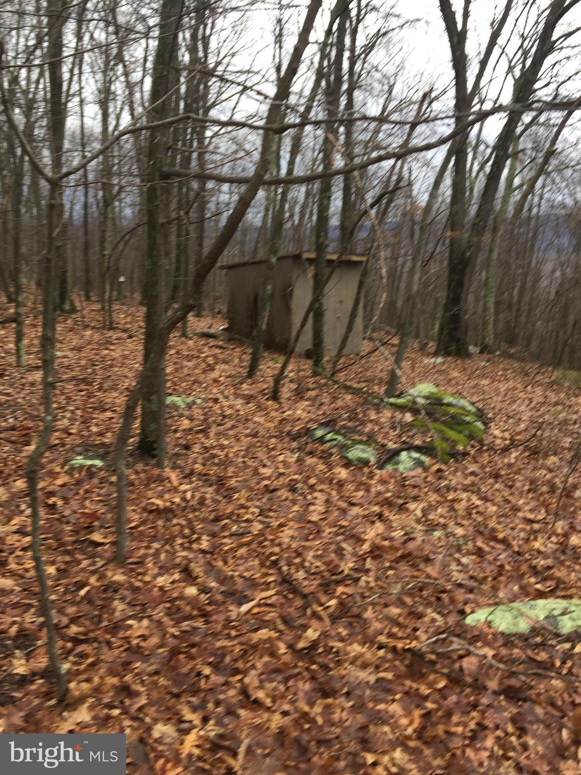 5 Detour Road Great Cacapon, WV 25422 - Photo 7 of 11 Exterior (General)
