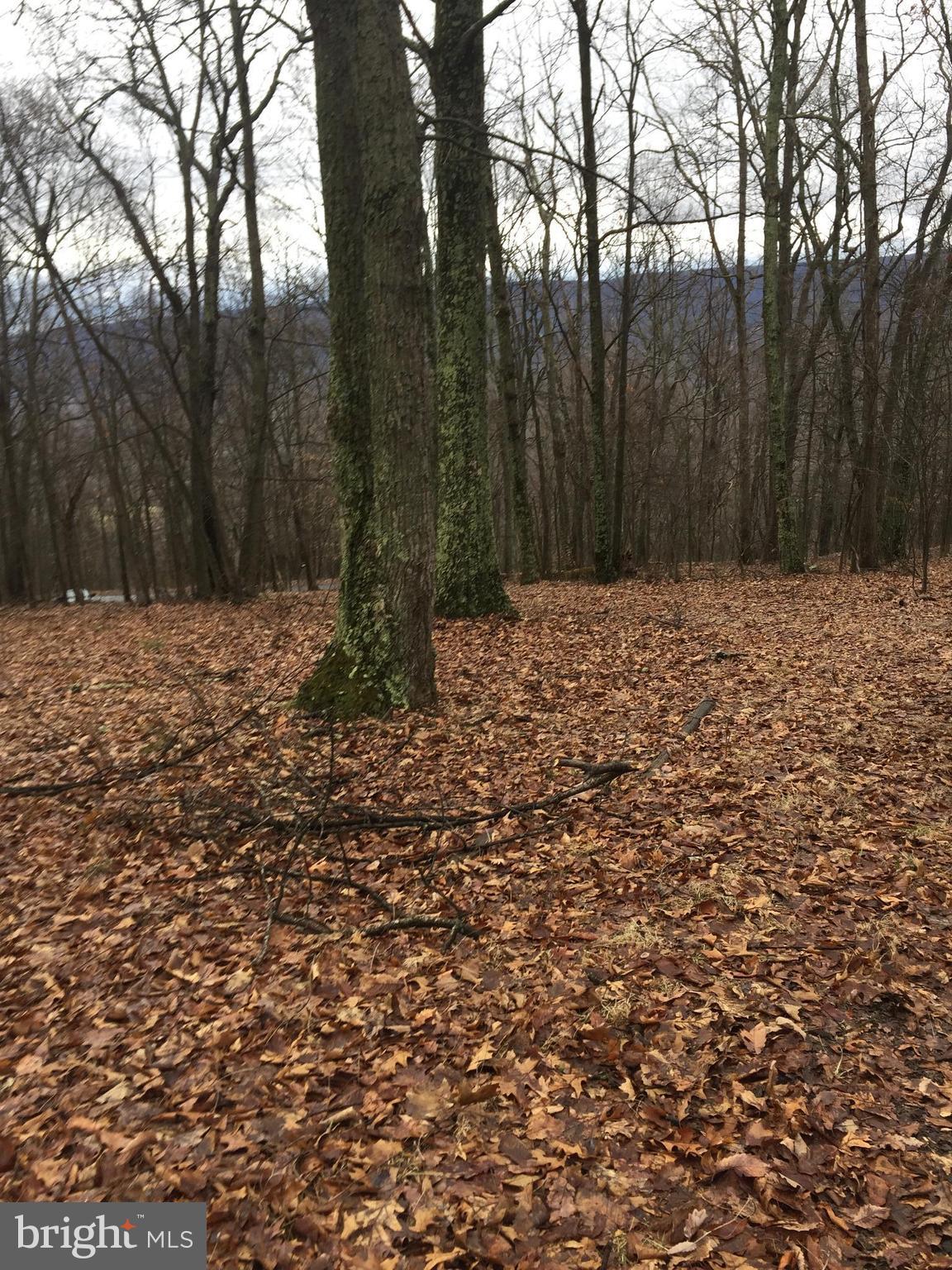 5 Detour Road Great Cacapon, WV 25422 - Photo 8 of 11 Exterior (Front)