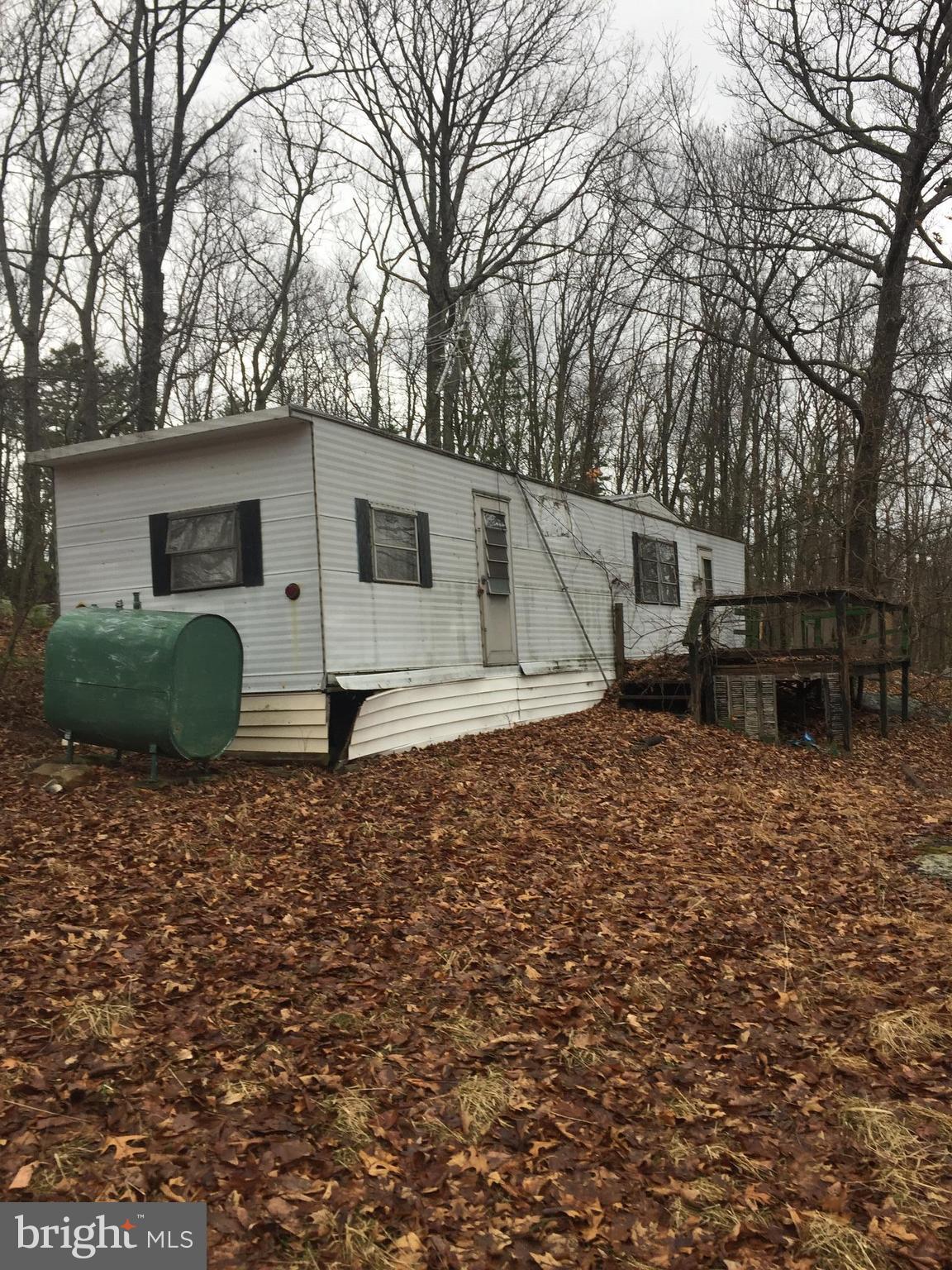 5 Detour Road Great Cacapon, WV 25422 - Photo 10 of 11 Exterior (Front)