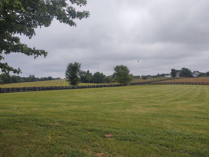 620 Caudill Cemetery Road Morehead, KY 40351 - Photo 51 of 61 Smothers Field