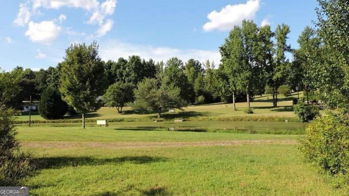 2100 Rays Church Road Bishop, GA 30621 - Photo 22 of 45