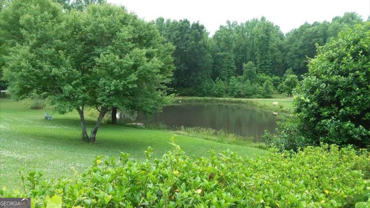 2100 Rays Church Road Bishop, GA 30621 - Photo 43 of 45