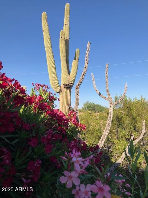 8362 North Dead Mans Gulch Road Florence, AZ 85132 - Photo 25 of 62 IMG_3748