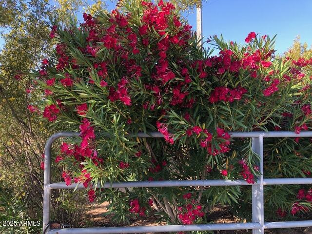 8362 North Dead Mans Gulch Road Florence, AZ 85132 - Photo 27 of 62 IMG_3739