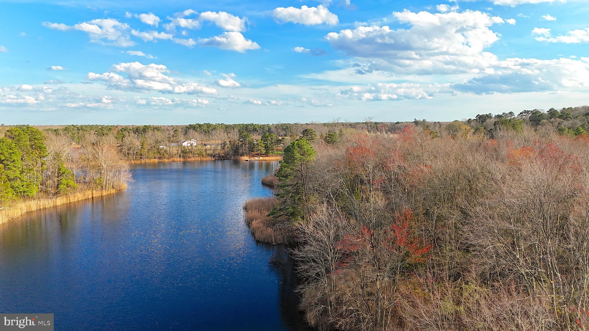 920 Mays Landing Road Hammonton, NJ 08037 - Photo 3 of 12