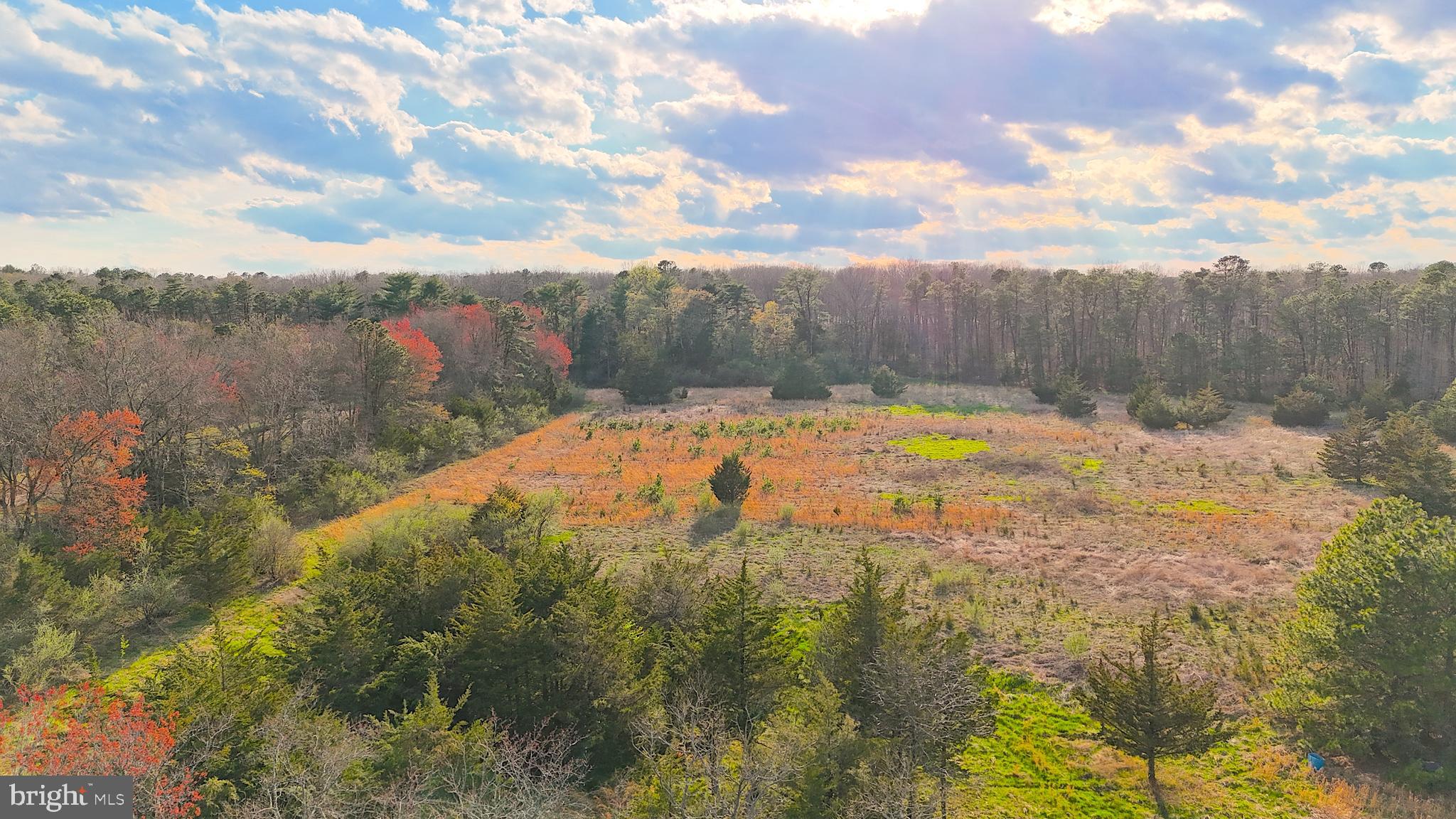 920 Mays Landing Road Hammonton, NJ 08037 - Photo 4 of 12