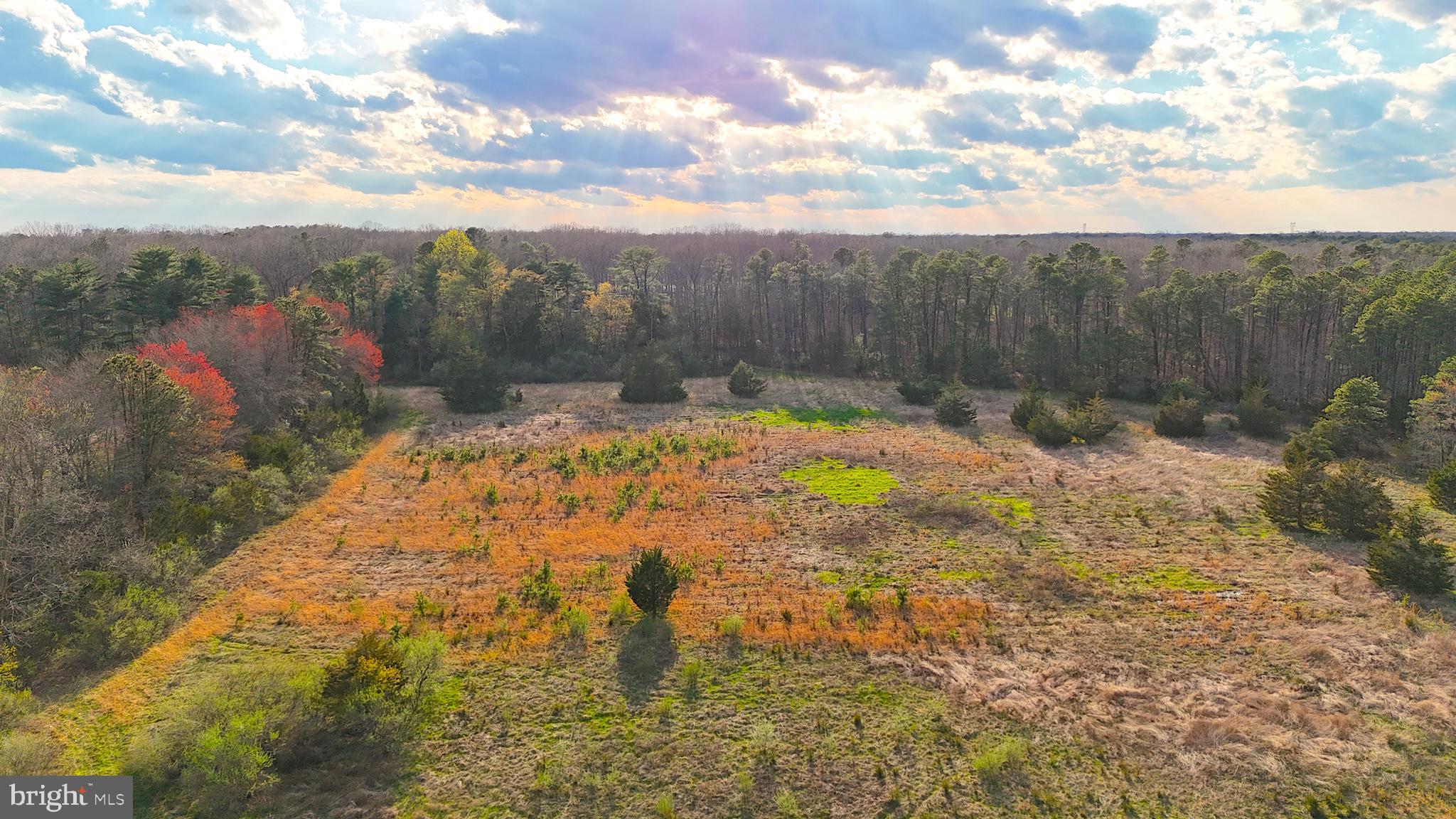 920 Mays Landing Road Hammonton, NJ 08037 - Photo 5 of 12