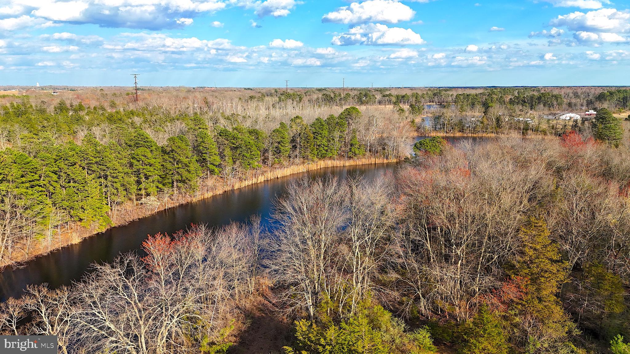 920 Mays Landing Road Hammonton, NJ 08037 - Photo 6 of 12