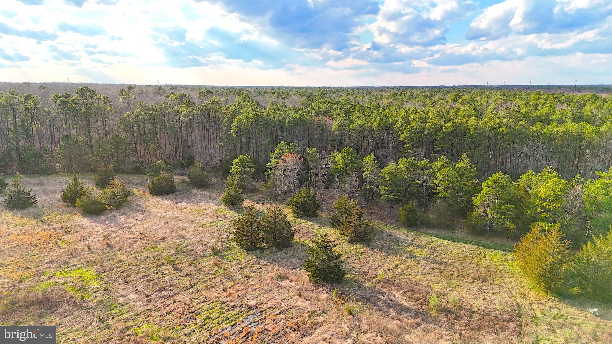 920 Mays Landing Road Hammonton, NJ 08037 - Photo 7 of 12