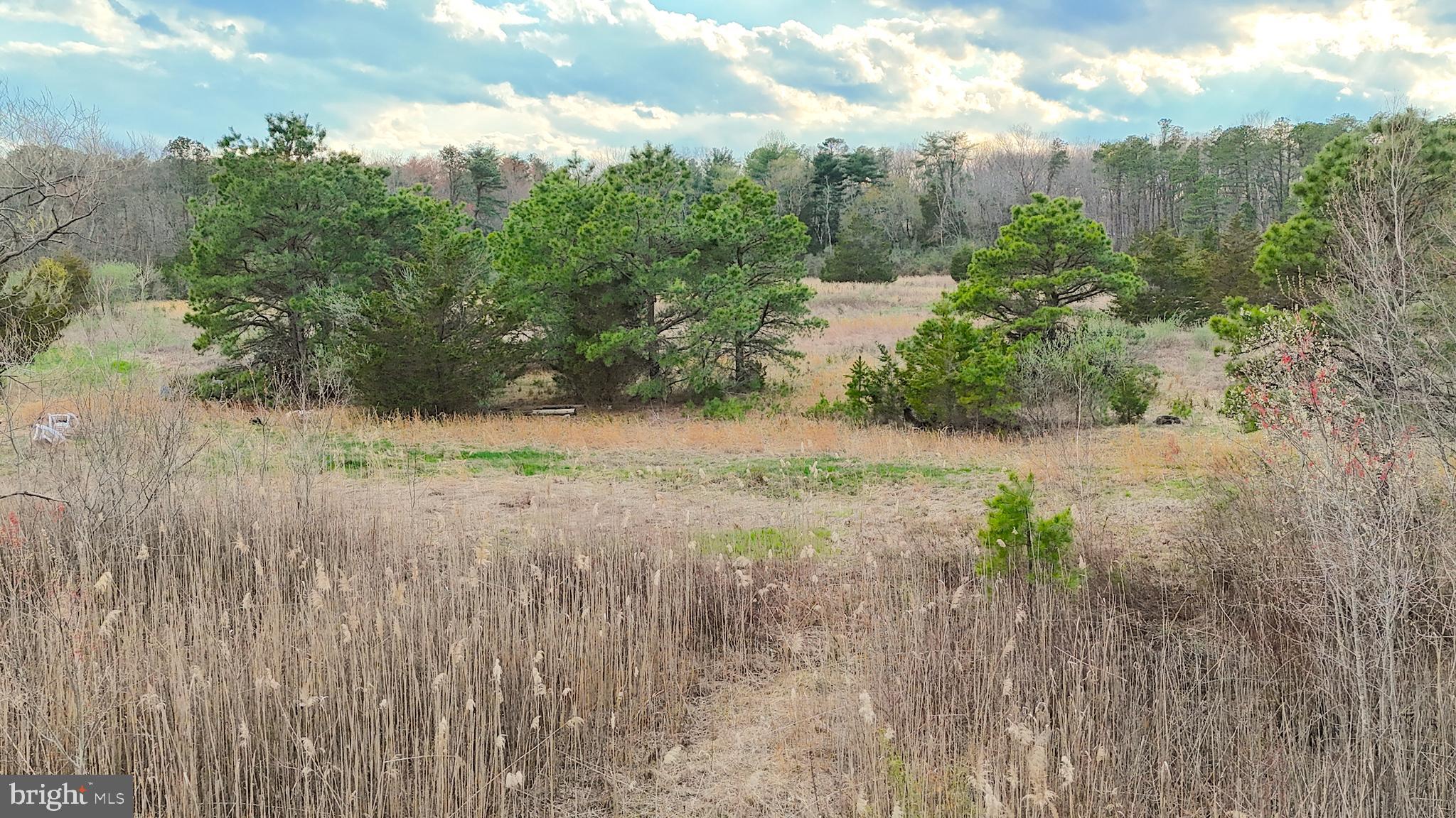 920 Mays Landing Road Hammonton, NJ 08037 - Photo 8 of 12