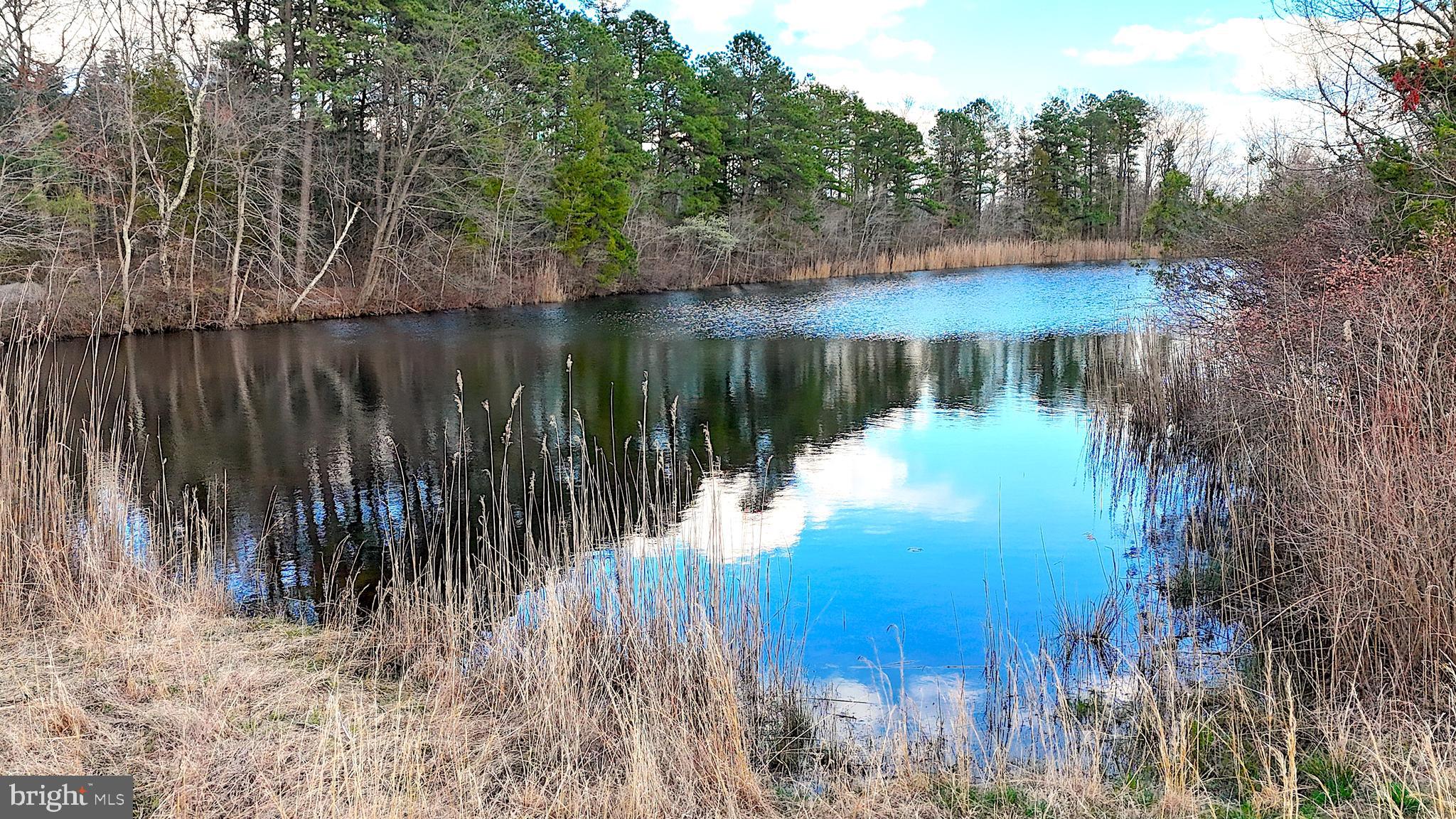 920 Mays Landing Road Hammonton, NJ 08037 - Photo 9 of 12