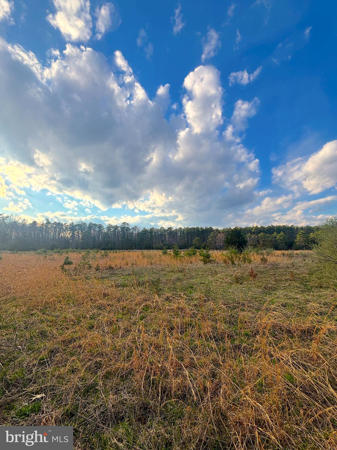 920 Mays Landing Road Hammonton, NJ 08037 - Photo 10 of 12