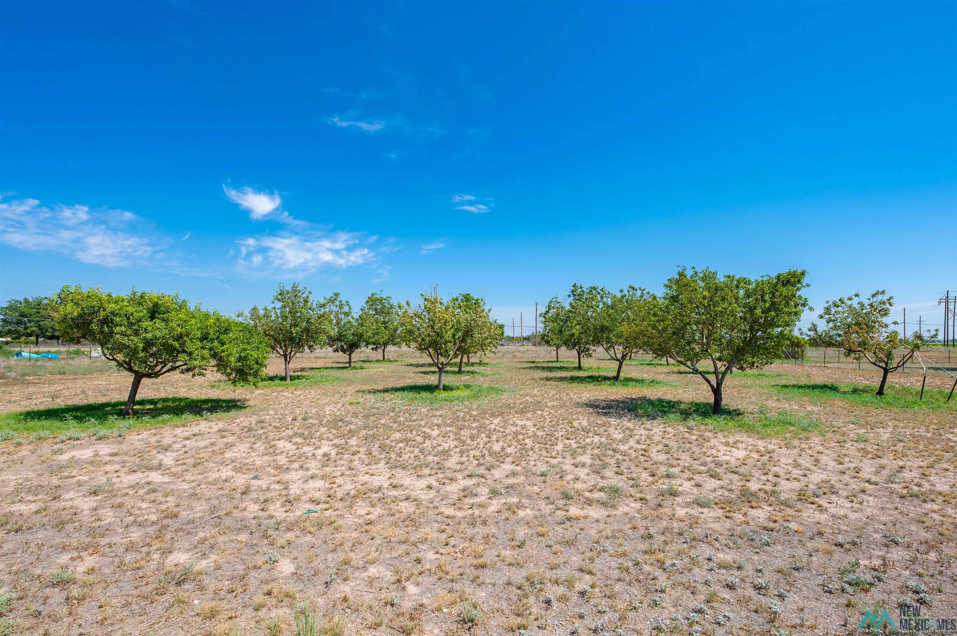 6269 Rocking Chair Road Roswell, NM 88203 - Photo 81 of 92 Gallery Image 81