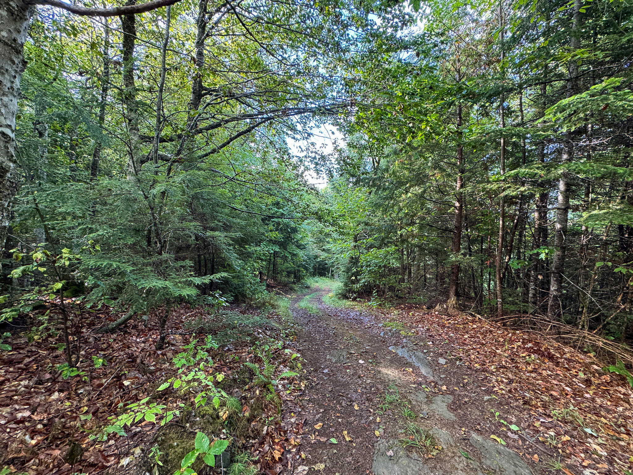 Lot 8-9 Moores Road Springfield, ME 04487 - Photo 18 of 22 18