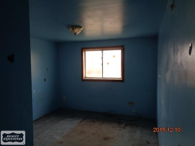 8520 Brown Road Yale, MI 48097 - Photo 10 of 10