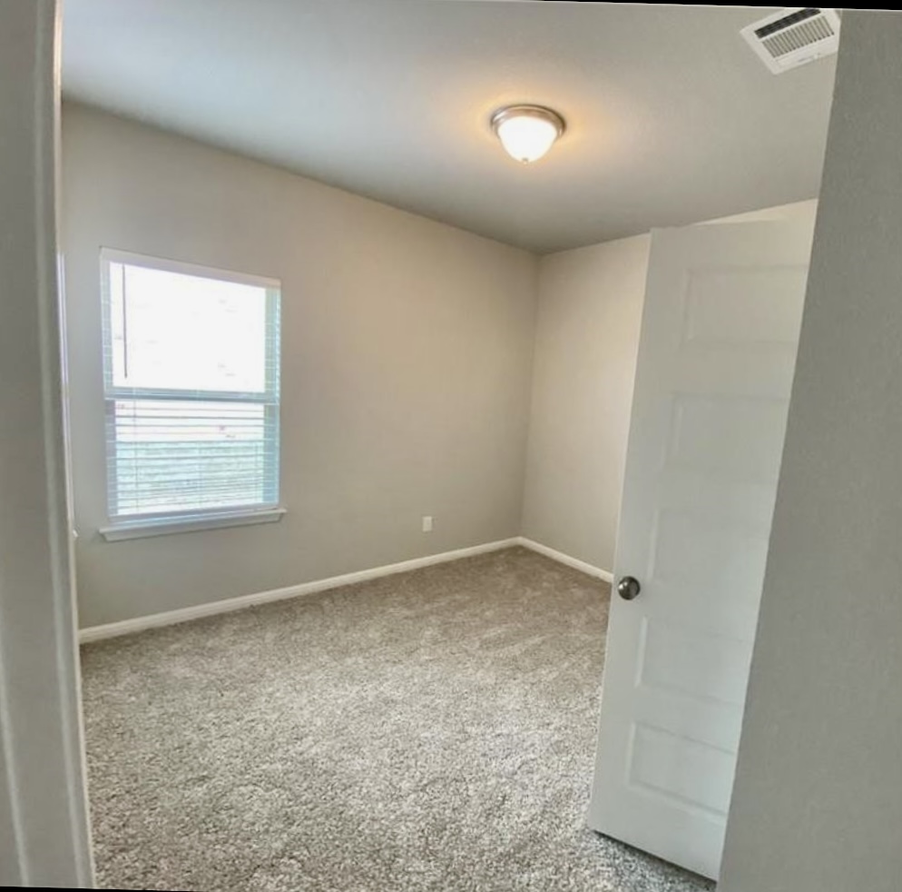 119 Wild Wind Cove Jarrell, TX 76537 - Photo 14 of 16 Empty room with carpet flooring and baseboards