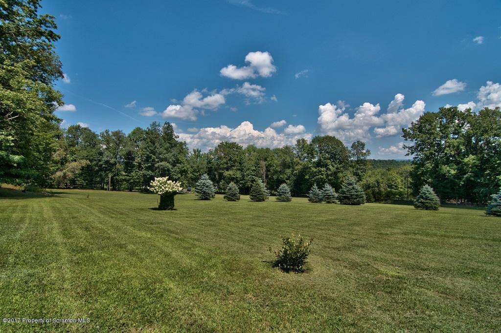 3526 Whengreen Road Nicholson, PA 18446 - Photo 64 of 67 a view of a golf course with a tree