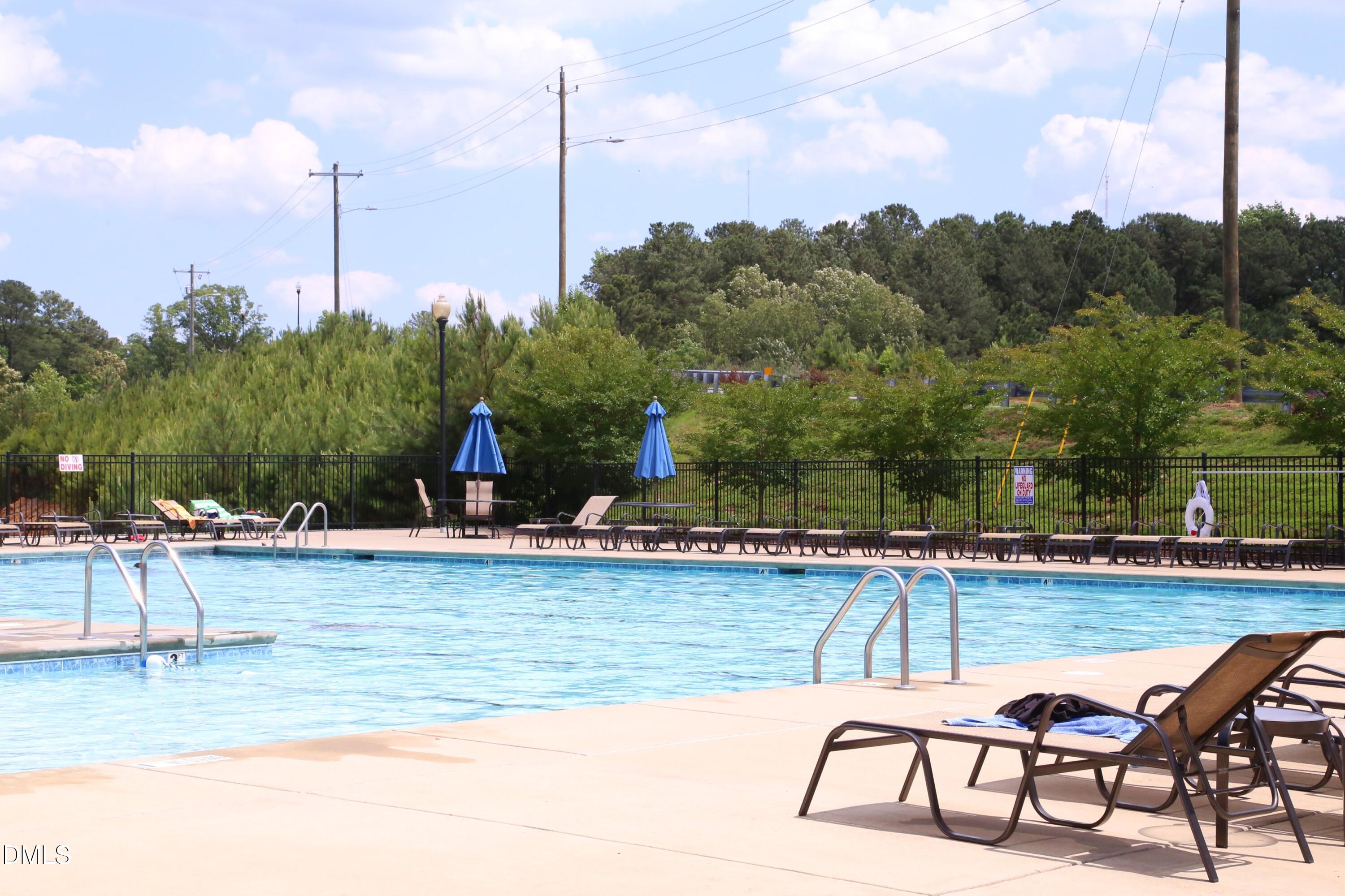 1091 Branch Line Lane Apex, NC 27502 - Photo 39 of 45 VillagesPool