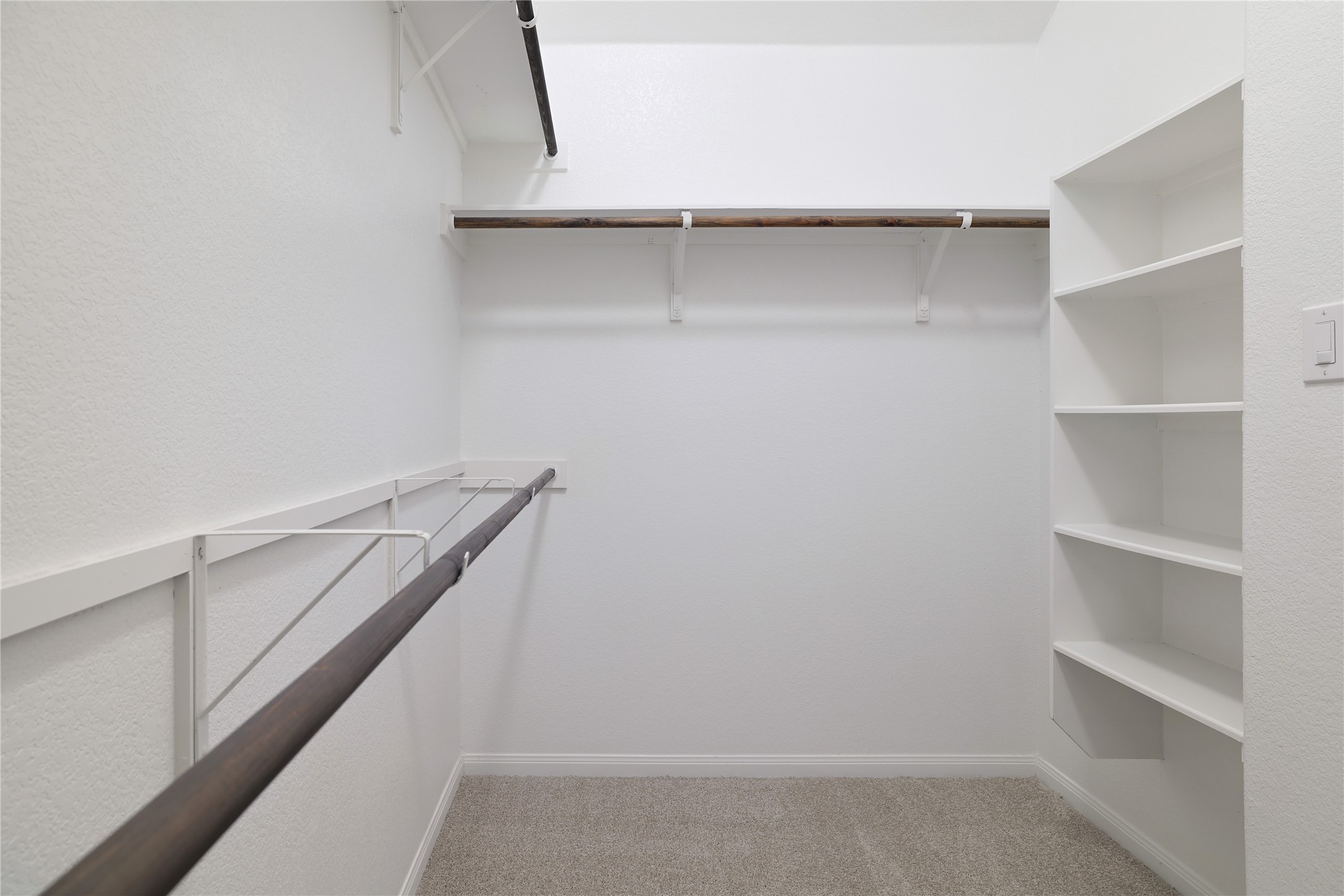 3341 Pauling Loop Round Rock, TX 78665 - Photo 21 of 40 Walk in closet featuring light colored carpet