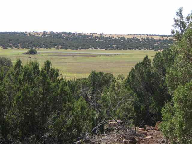 9 D Silver Eagle Concho, AZ 85924 - Photo 1 of 8