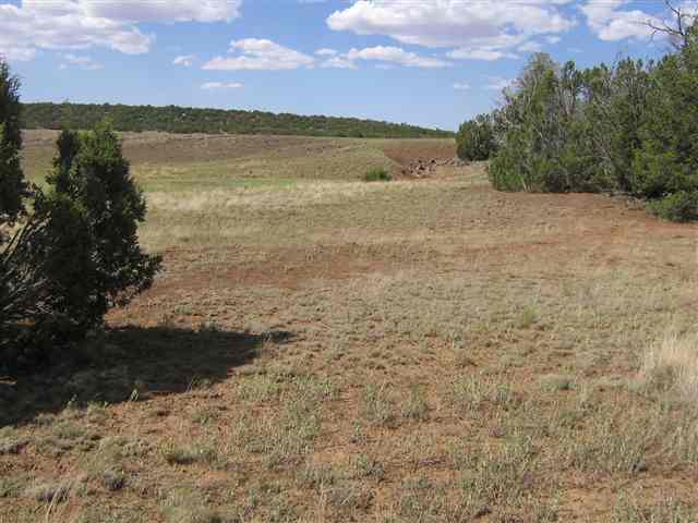9 D Silver Eagle Concho, AZ 85924 - Photo 3 of 8