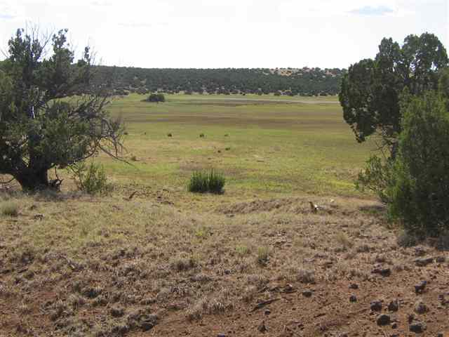 9 D Silver Eagle Concho, AZ 85924 - Photo 4 of 8