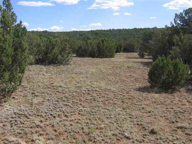 9 D Silver Eagle Concho, AZ 85924 - Photo 5 of 8