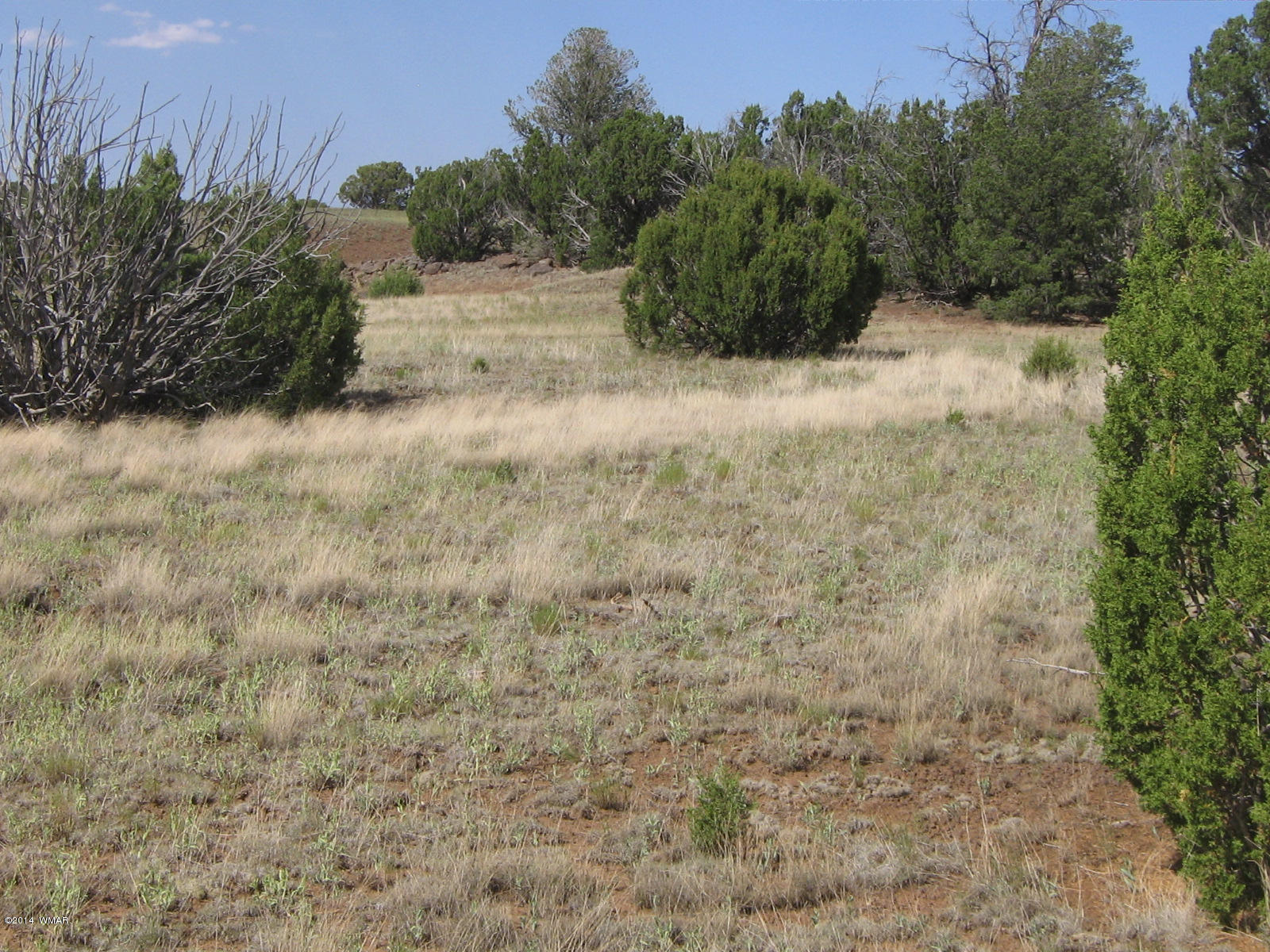 9 D Silver Eagle Concho, AZ 85924 - Photo 6 of 8