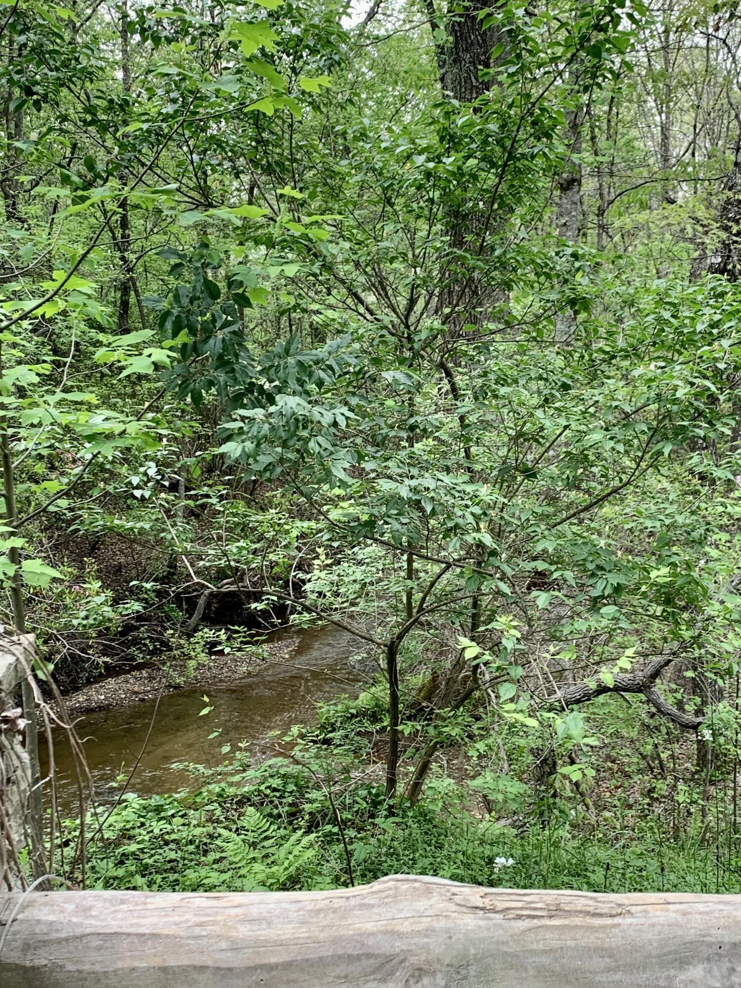 Lot 191 Long Branch Road Spencer, TN 38585 - Photo 1 of 25 All weatcher Creek