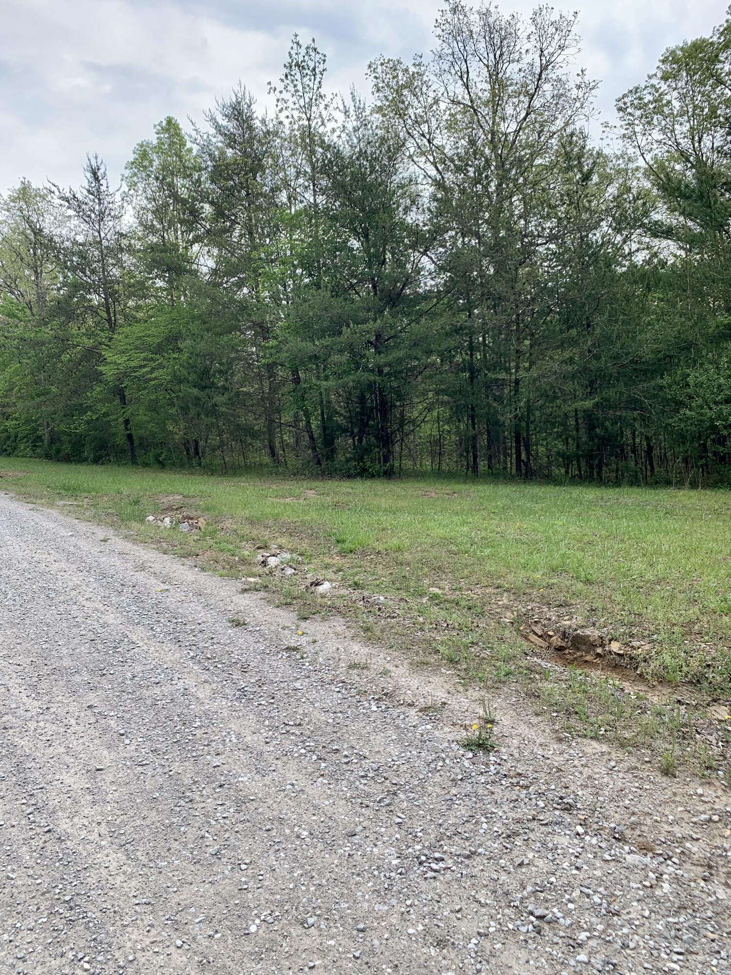 Lot 191 Long Branch Road Spencer, TN 38585 - Photo 8 of 25 191i