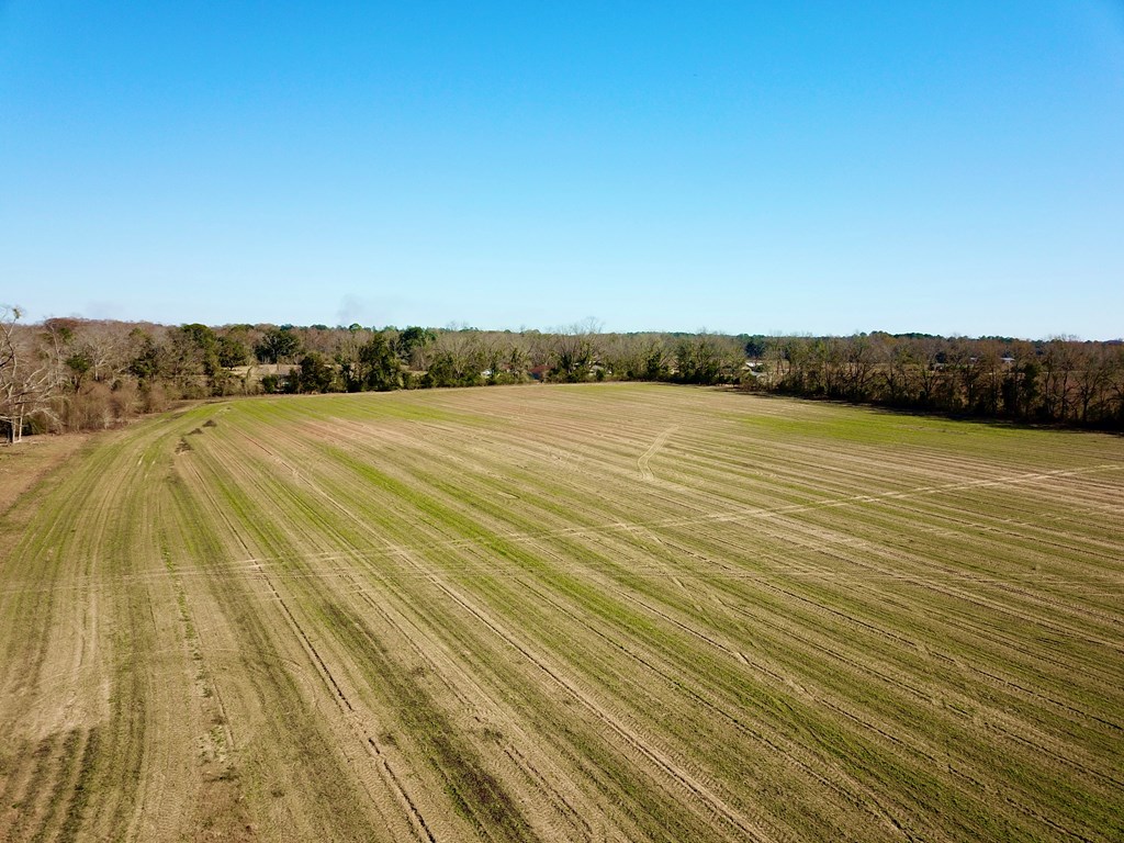 12.7-acres Nobles Road Dothan, AL 36301 - Photo 26 of 41