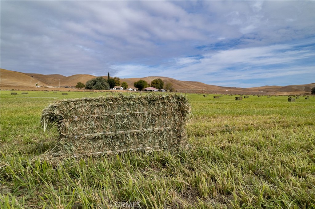 13625 Ea Highway Paso Robles, CA 93446 - Photo 12 of 29