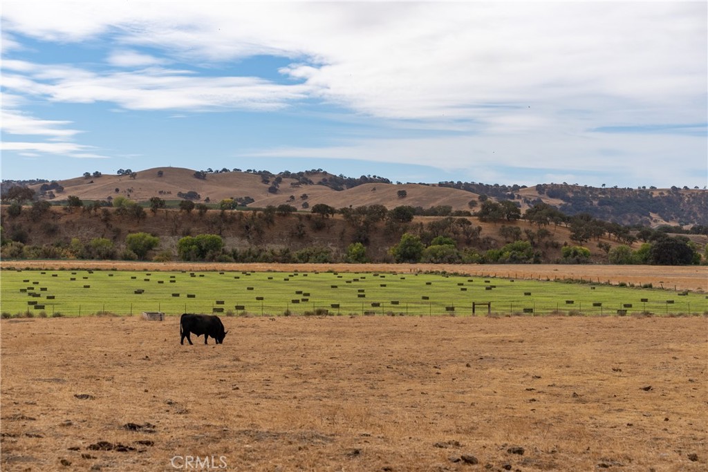 13625 Ea Highway Paso Robles, CA 93446 - Photo 2 of 29