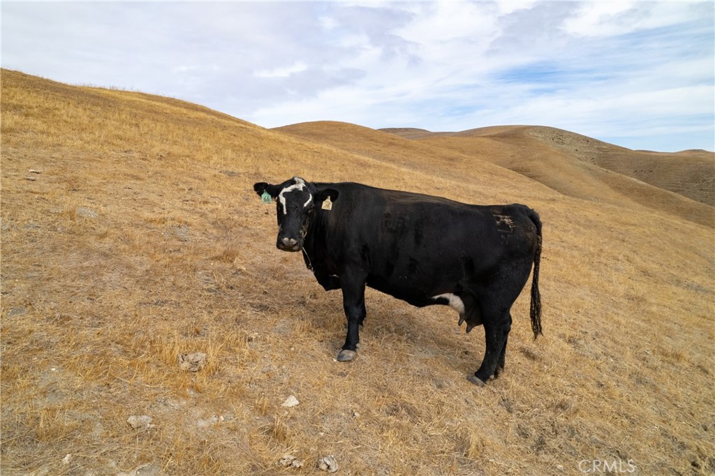 13625 Ea Highway Paso Robles, CA 93446 - Photo 21 of 29