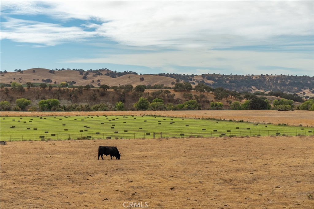 13625 Ea Highway Paso Robles, CA 93446 - Photo 3 of 29